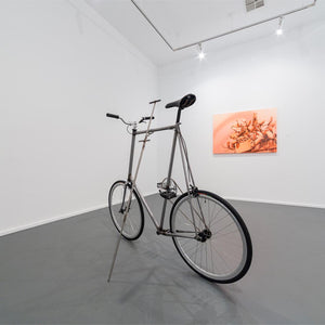 James Dodd's 'Sabotage' at Contemporary Art Centre of South Australia, 2014