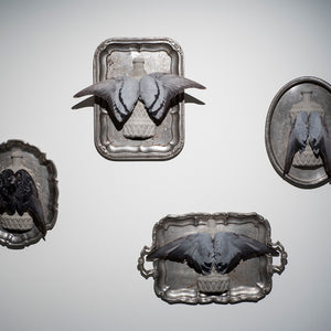 Sue Kneebone’s 'Spurious Natures' at Hugo Michell Gallery,  2018