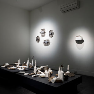 Sue Kneebone’s 'Spurious Natures' at Hugo Michell Gallery,  2018
