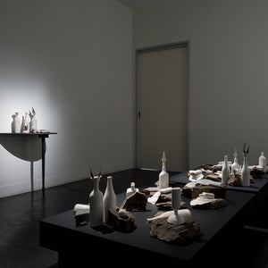 Sue Kneebone’s 'Spurious Natures' at Hugo Michell Gallery,  2018