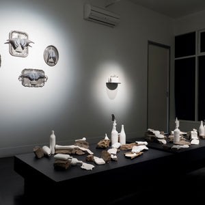 Sue Kneebone’s 'Spurious Natures' at Hugo Michell Gallery,  2018