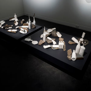 Sue Kneebone’s 'Spurious Natures' at Hugo Michell Gallery,  2018