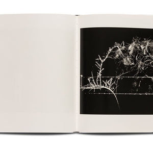 Trent Parke 'Minutes to Midnight' publication, signed
