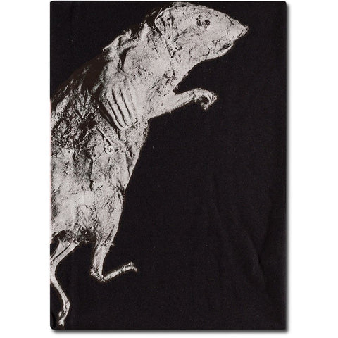 Trent Parke 'Rat, Port Adelaide' from 'The Black Rose' t-shirt