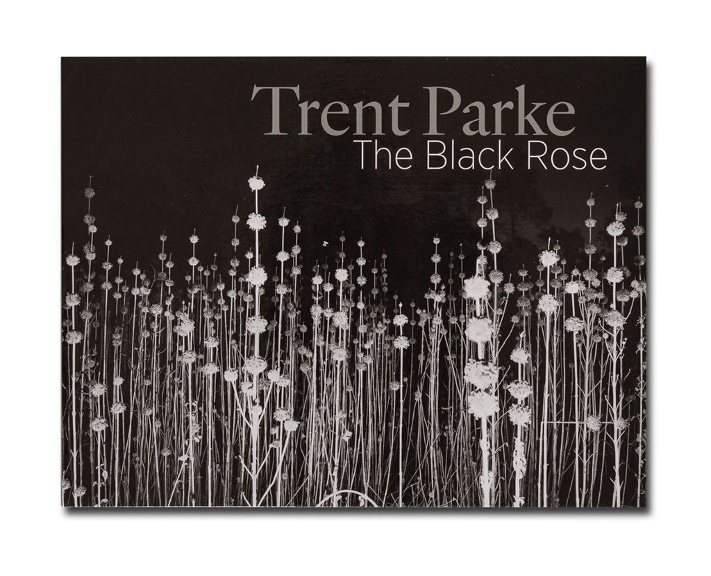 Trent Parke 'The Black Rose' greeting cards; black-and-white