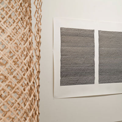 Tim Sterling’s 'platzangst' at Hugo Michell Gallery, 2013