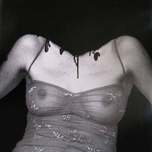 Tony Garifalakis, Ang, 2010, enamel on offset print, 90 x 60 cm