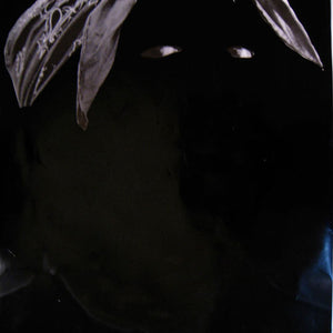 Tony Garifalakis, Thug, 2010, enamel on offset print, 90 x 60 cm