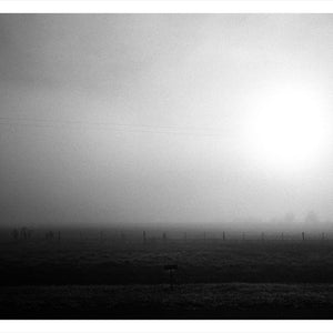 Trent Parke, ‘Private Everett Mark Rickard, 5906, 22nd Battalion A.I.F., The Avenue of Honour, Ballarat, Victoria, Australia’, 2014, from ‘WWI Avenue of Honour’, pigment print, 80 x 60 cm, ed. of 3