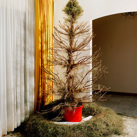 Trent Parke, Christmas Tree, 2008, from The Christmas Tree Bucket, pigment print, 90 x 72 or 40 x 32 cm, ed. of 8