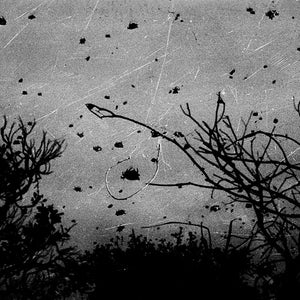 Trent Parke, Coffin Bay, 2004, from Minutes to Midnight, silver gelatin print, 30 x 45 cm, ed. of 5; pigment print, 98 x 147 cm, ed. of 5