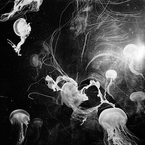 Trent Parke, Jellyfish, WA, 2004, from Minutes to Midnight, silver gelatin print, 30 x 45 cm, ed. of 5; pigment print, 98 x 147 cm, ed. of 5