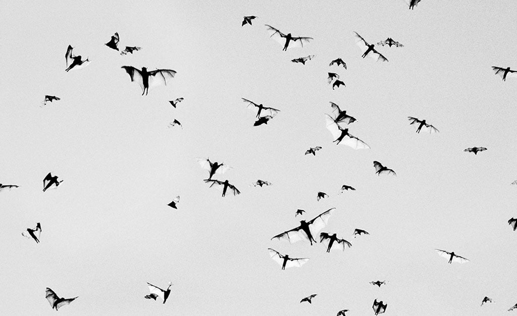 アート・デザイン・音楽 Minutes to Midnight Trent Parke MINUTES TO MIDNIGHT – Hugo Michell Gallery