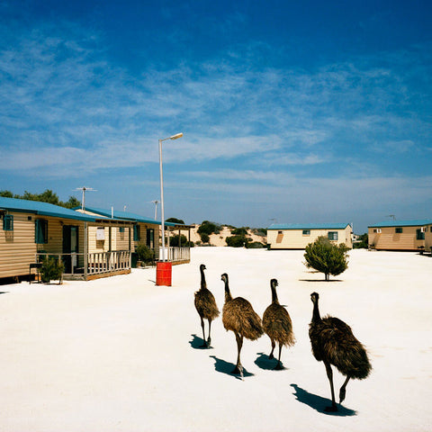 Trent Parke, Sharkbay, 2006, from Welcome to Nowhere, type C print, 52 x 65 cm or 114 x 143 cm, ed. of 8