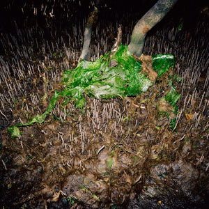 Trent Parke, Slime, 2007, from The Christmas Tree Bucket, pigment print, 72 x 90 or 32 x 40 cm, ed. of 8