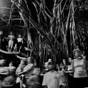 Trent Parke, Untitled (Fig Tree), 2004, from Minutes to Midnight, silver gelatin print, 30 x 45 cm, ed. of 5; pigment print, 98 x 147 cm, ed. of 5