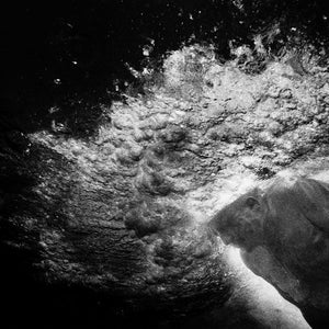 Trent Parke, Untitled #103, 1999 – 2000, from The Seventh Wave, silver gelatin print, 24 x 36 cm, ed. of 25; type C print, 80 x 121 cm, ed. of 15