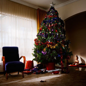 Trent Parke 'The Christmas Tree Bucket' greeting cards