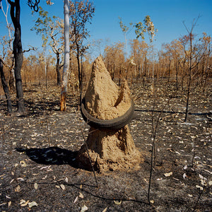 Narelle Autio, Tyre and termite mound, 2002-15, from Indifference, pigment print, 90 x 88.8 cm, ed. of 6