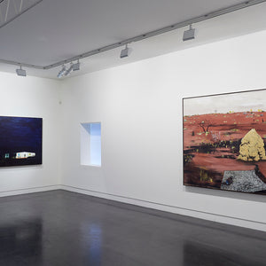 William Mackinnon’s ‘The Lucky Country?’ at Hugo Michell Gallery, 2018