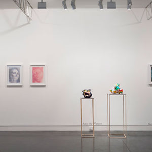 Young Collectors group show at Hugo Michell Gallery, 2013